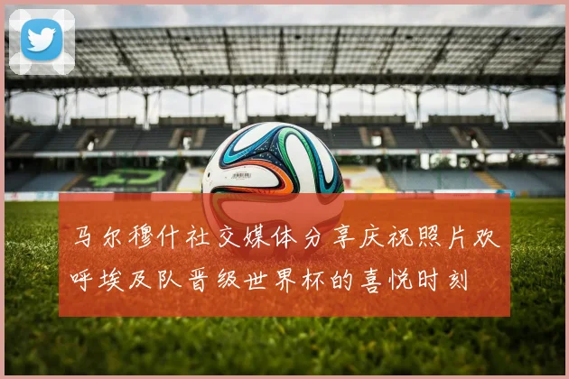 马尔穆什社交媒体分享庆祝照片欢呼埃及队晋级世界杯的喜悦时刻