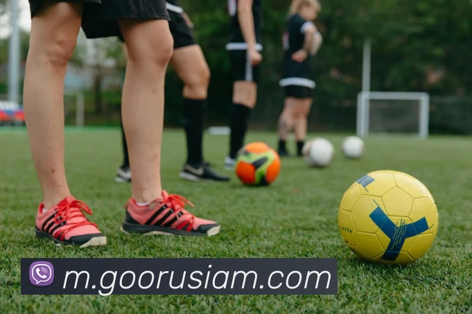 未来规划